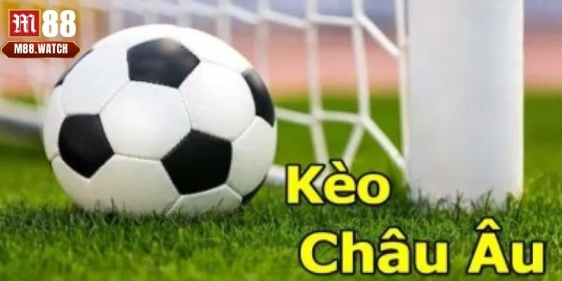 Hội viên cần hiểu rõ cách đọc tỷ lệ cược